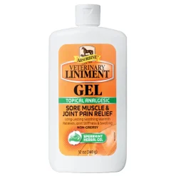 ANIMAL HEALTH INT Absorbine® Liniment Gel
