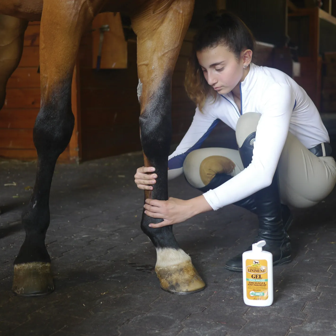 ANIMAL HEALTH INT Absorbine® Liniment Gel