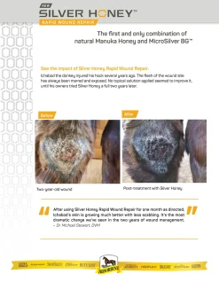 ANIMAL HEALTH INT Absorbine® Silver Honey® Rapid Wound Repair Ointment
