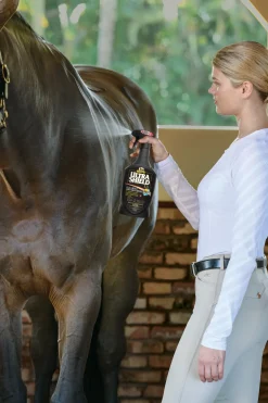 ANIMAL HEALTH INT Absorbine® UltraShield® EX