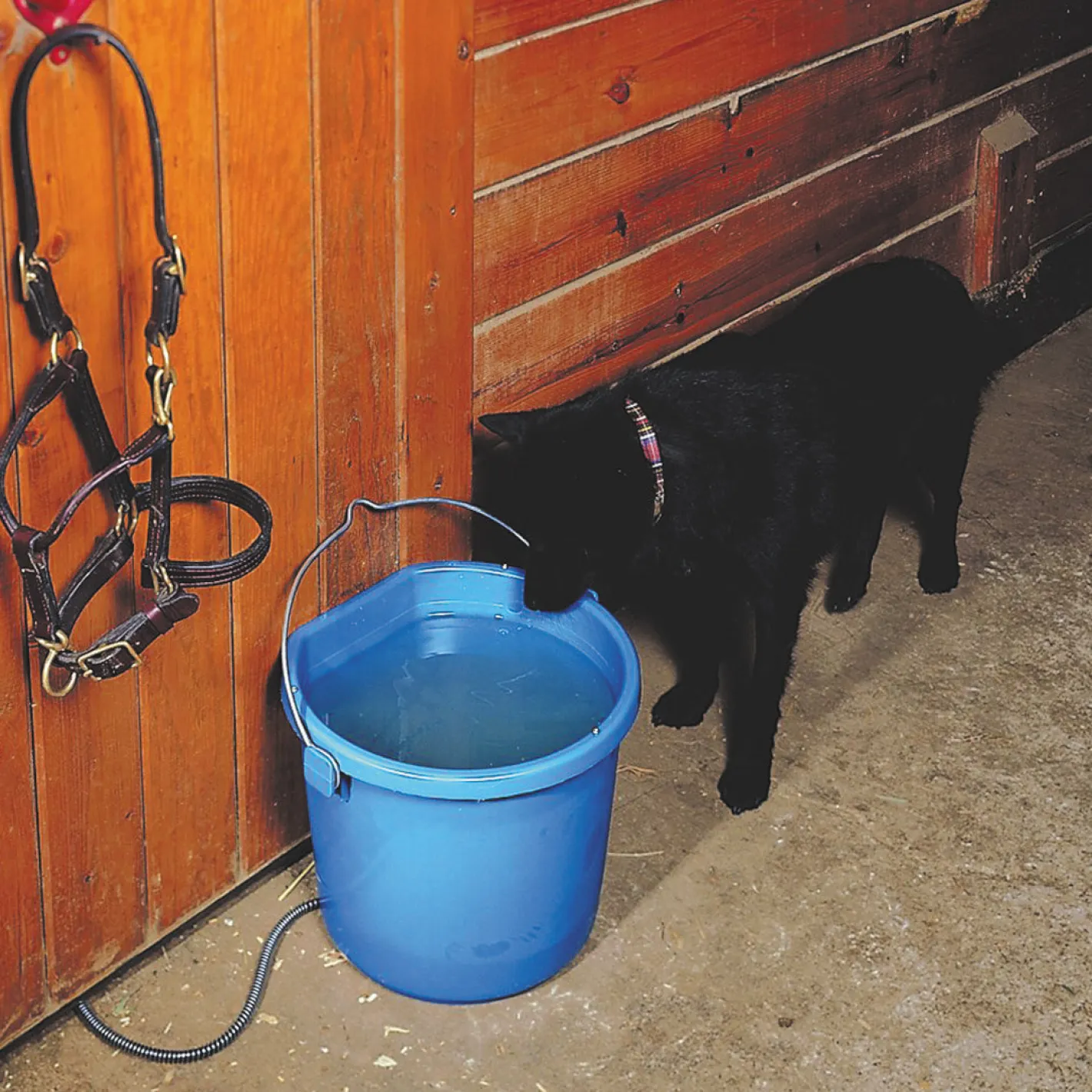ANIMAL HEALTH INT API® 20-Quart Heated Flatback Bucket