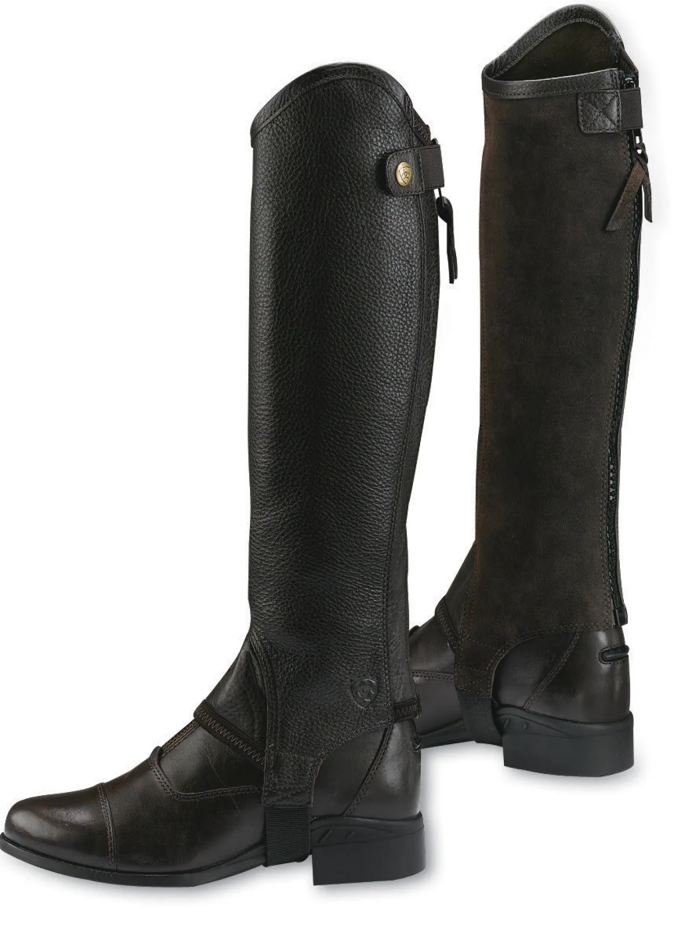 ARIAT ® Concord Half Chaps