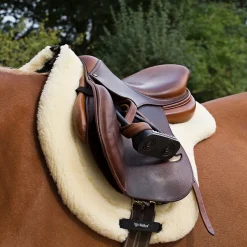 BACK ON TRACK BOT LL Back on Track® All-Purpose Teddy Saddle Pad