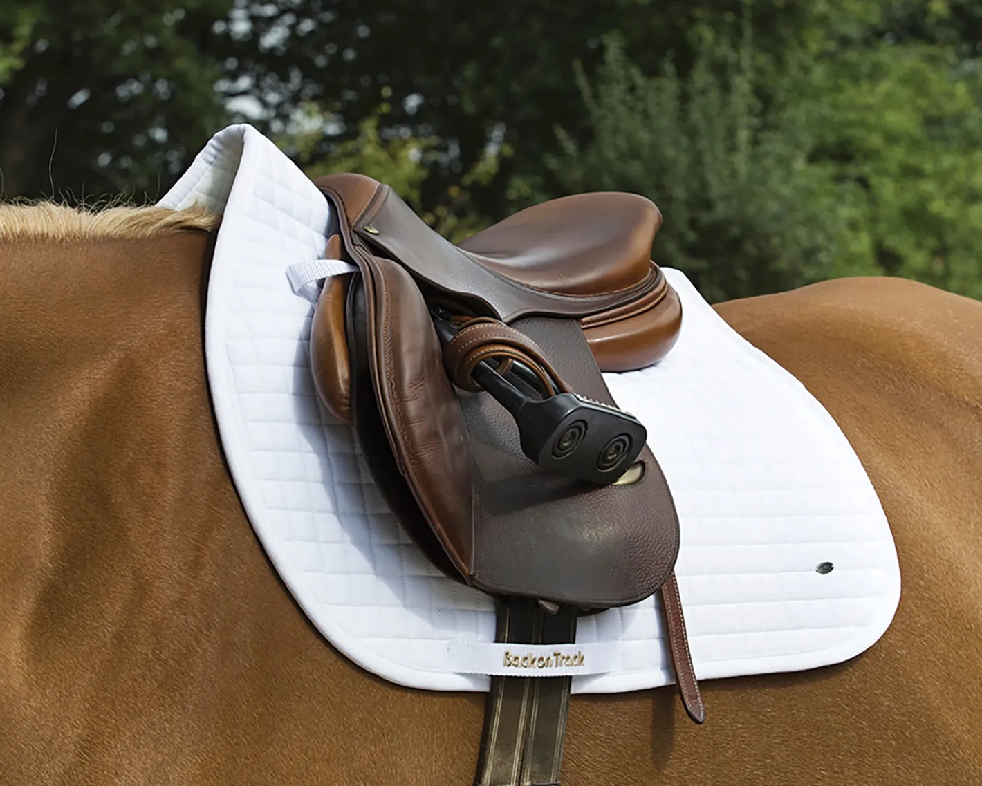 BACK ON TRACK BOT LL Back on Track® All-Purpose Saddle Pad