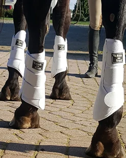 BACK ON TRACK BOT LL Back on Track® 3D Mesh Splint Boots