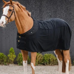 BACK ON TRACK BOT LL Back on Track® Deep Nights Fleece Cooler