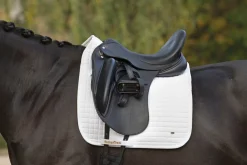 BACK ON TRACK BOT LL Back on Track® Dressage Pad