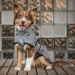 BACK ON TRACK BOT LL Back on Track® Nella Medium Dog Coat
