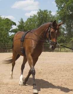 MUSTANG MFG Balance Complete Training System