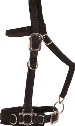 MUSTANG MFG Balance Complete Training System