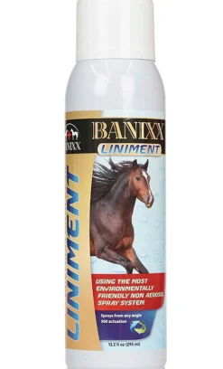 ANIMAL HEALTH INT Banixx® Liniment Spray