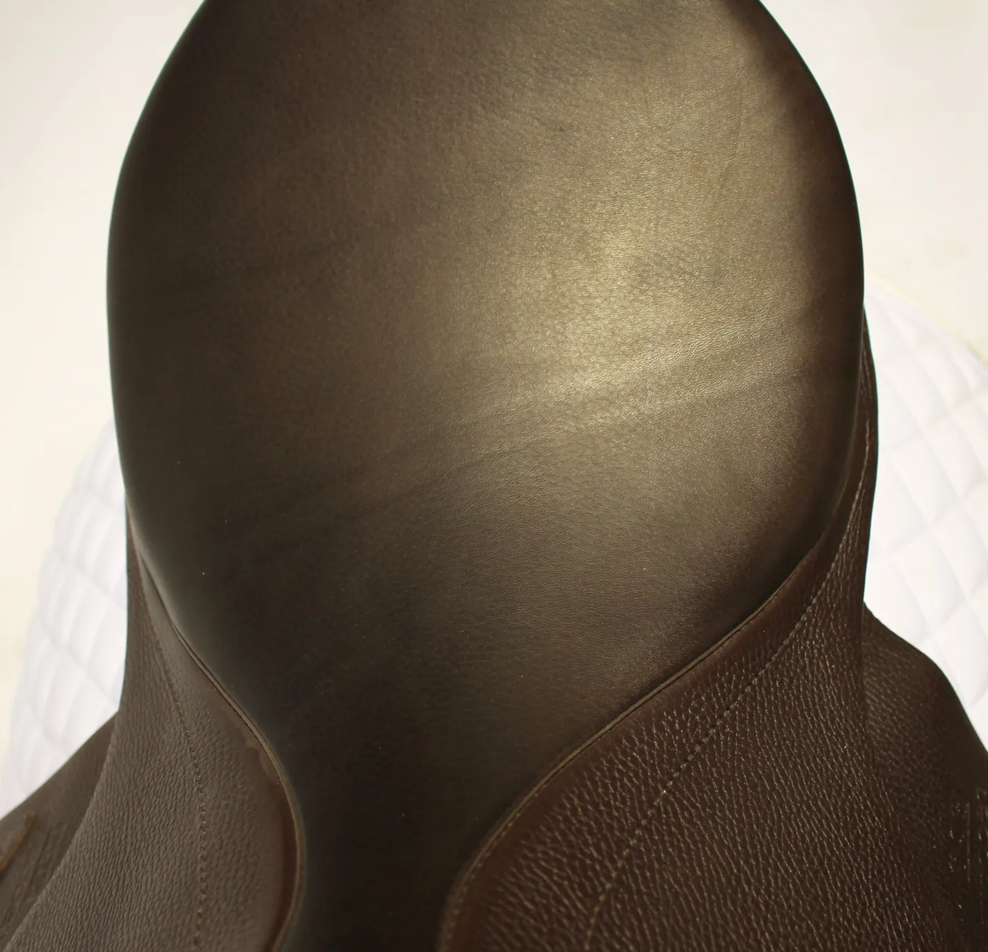 SADDLERY BRANDS INTL Bates Luxe Leather Dressage Webbers