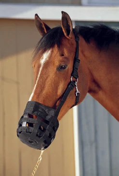 INTREPID INTL Best Friend® All-In-One Grazing Muzzle