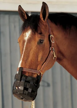 INTREPID INTL Best Friend® Grazing Muzzle