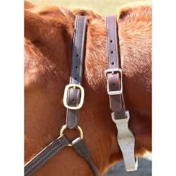 INTREPID INTL Best Friend® Hinged Cribbing Strap
