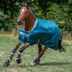 TOKLAT ORIGINALS Bucas Atlantic 200 Gram Turnout Blanket