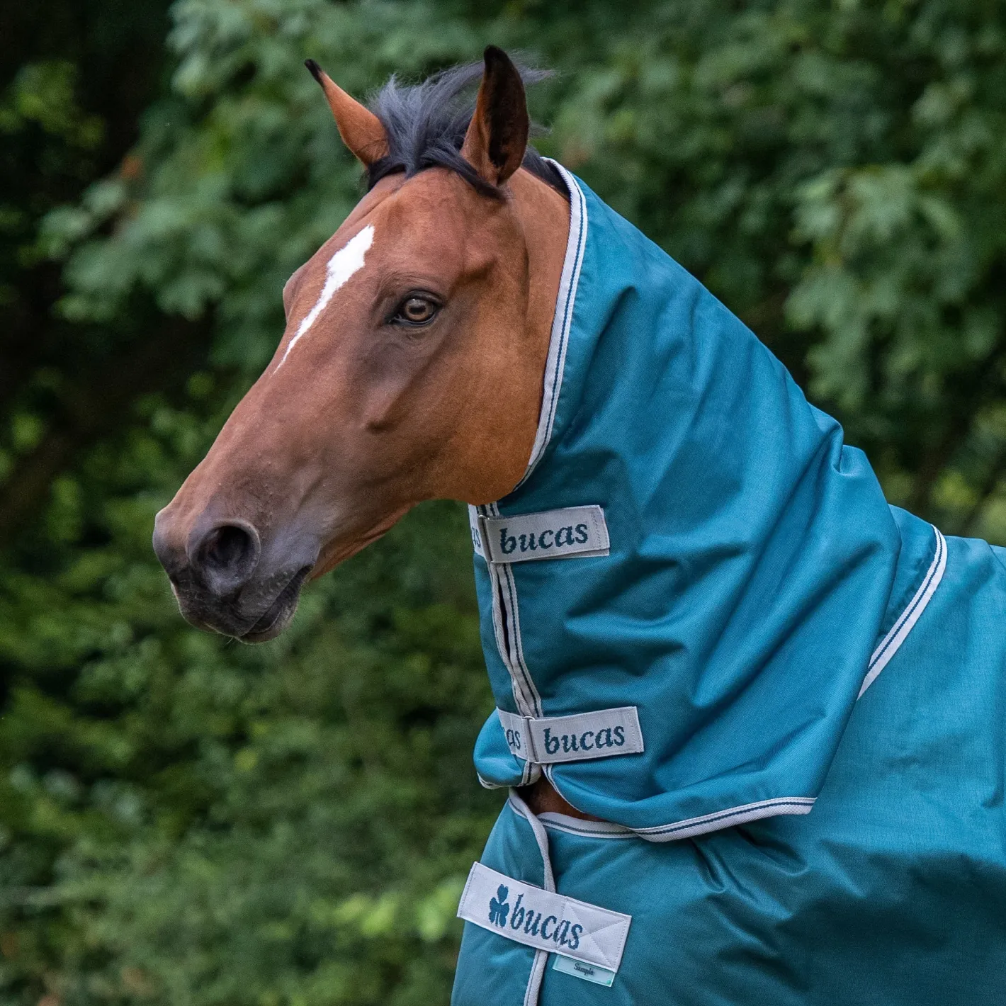 TOKLAT ORIGINALS Bucas Atlantic 50 Gram Turnout Blanket