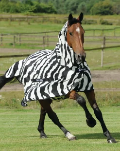 TOKLAT ORIGINALS Bucas Buzz-Off Fly Sheet with High Neck