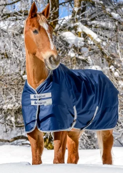 TOKLAT ORIGINALS Bucas Freedom Extra Heavy Turnout Blanket
