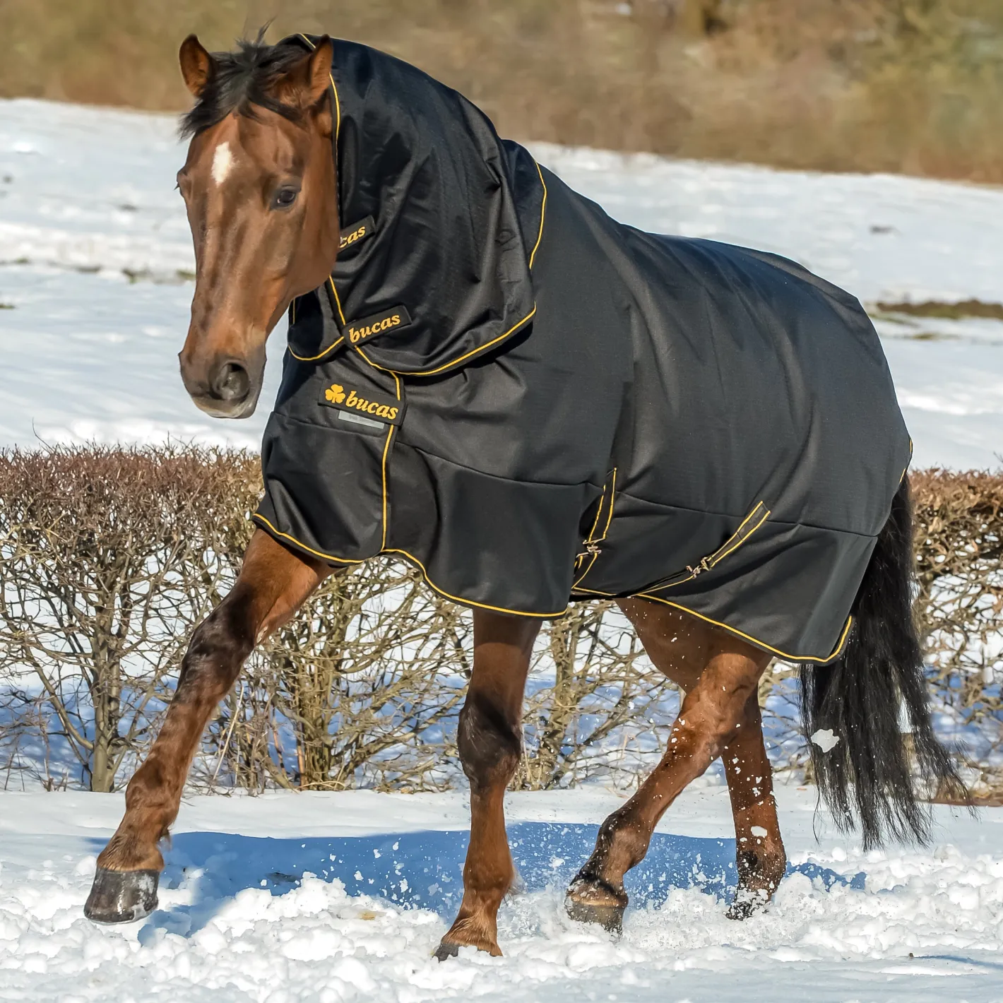 TOKLAT ORIGINALS Bucas Irish Extra Classic Heavyweight Turnout Blanket