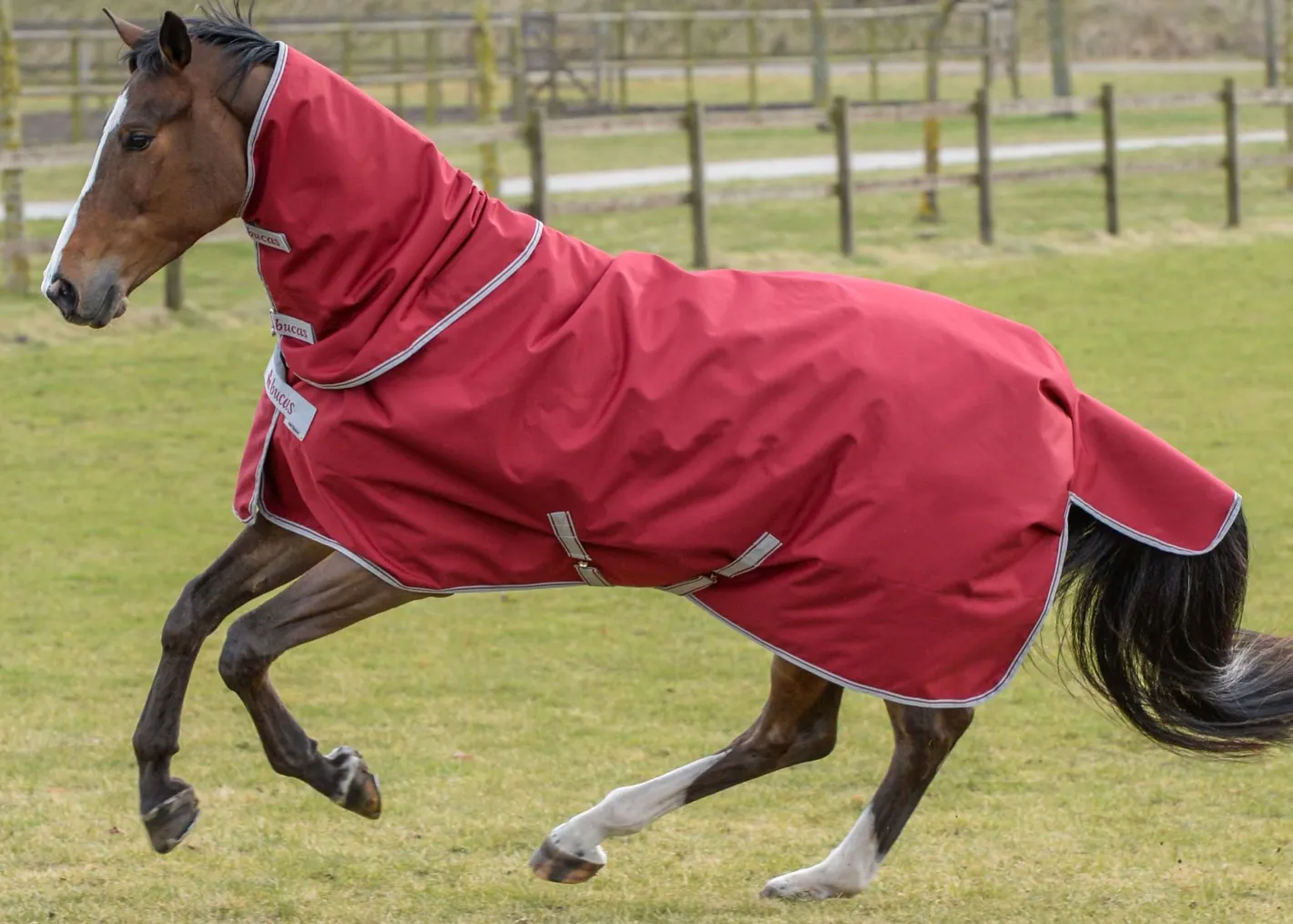 TOKLAT ORIGINALS Bucas Irish Extra Classic Heavyweight Turnout Blanket