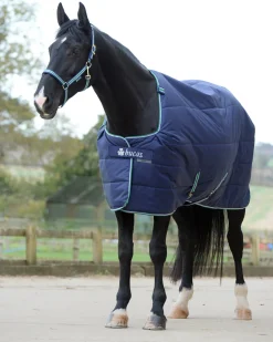 TOKLAT ORIGINALS Bucas Quilt Heavyweight Stable Blanket with Stay-Dry Lining - 300 grams