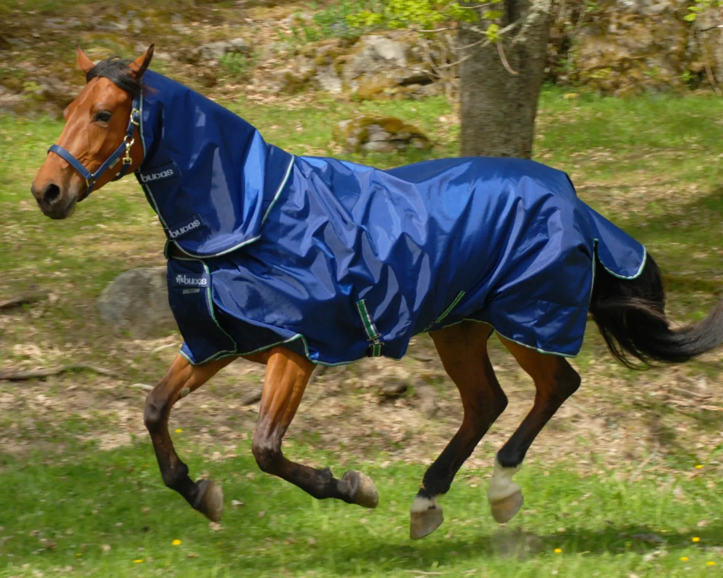 TOKLAT ORIGINALS Bucas Smartex Rain/Turnout Sheet