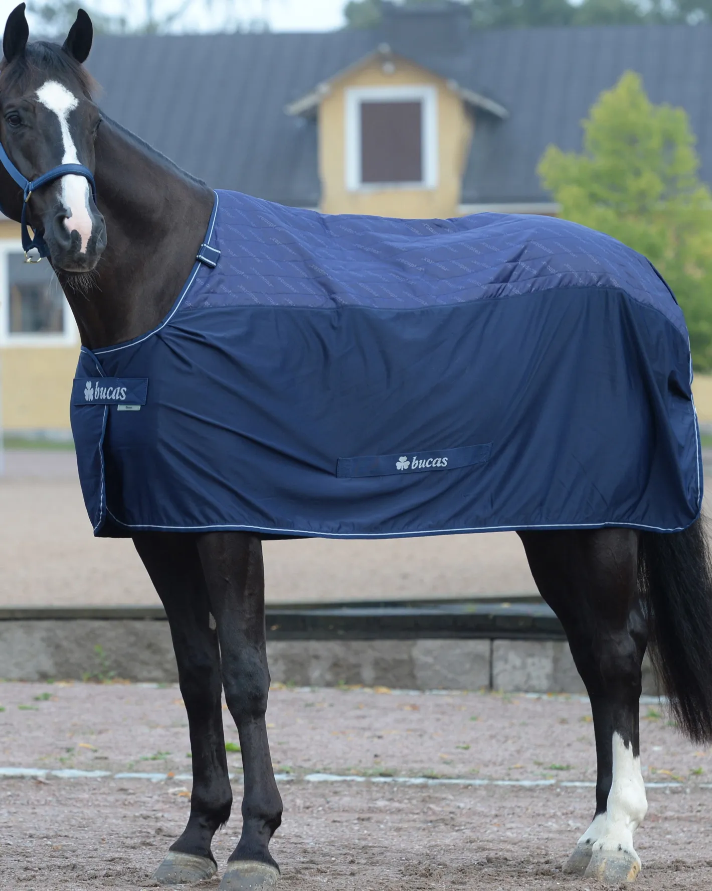 TOKLAT ORIGINALS Bucas Therapy Cooler