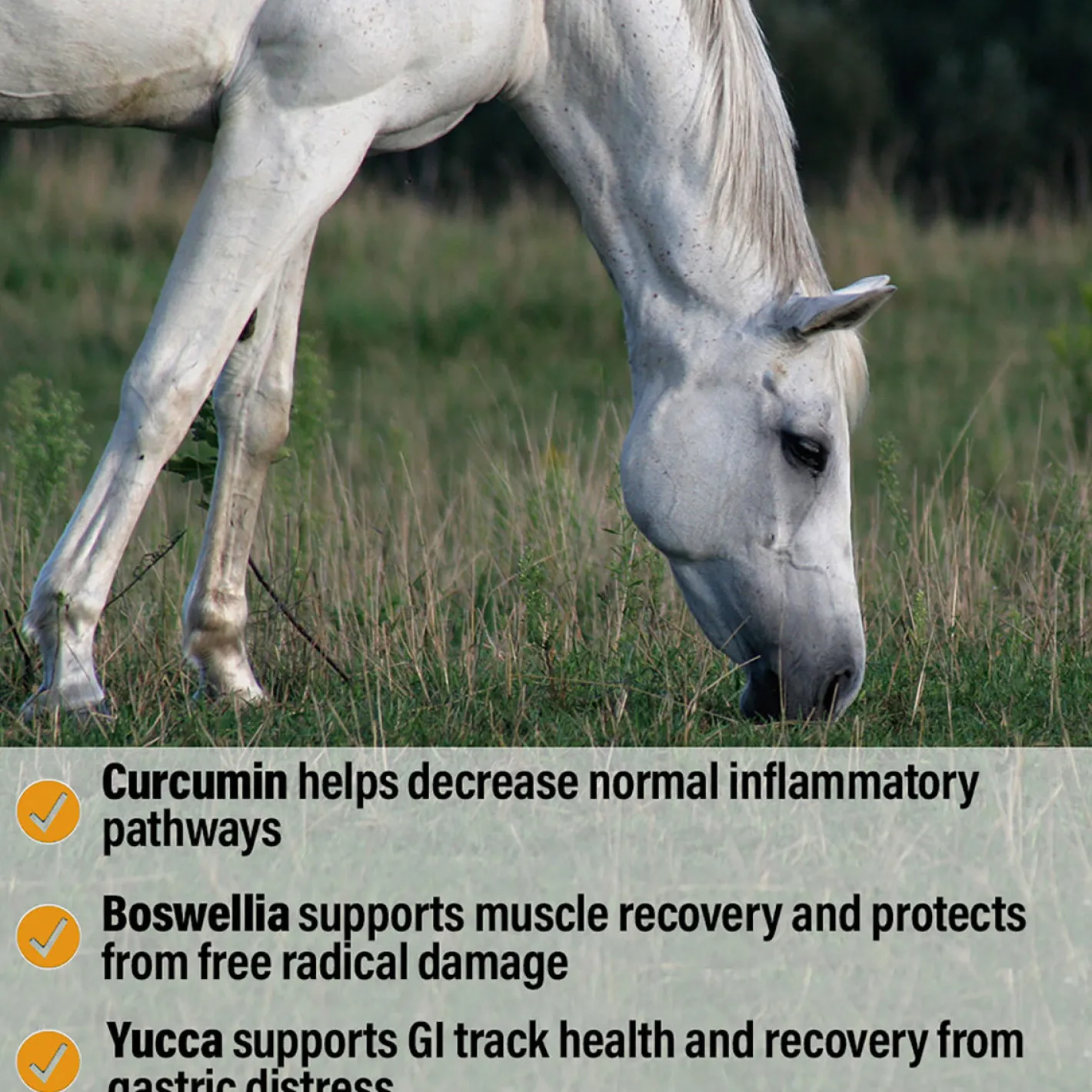 ANIMAL HEALTH INT Bute-Less® Performance Comfort & Recovery Pellets