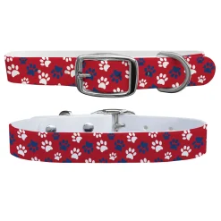 SWYFT PRINTS/C4 C4 Dog Collar