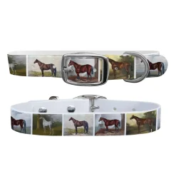 SWYFT PRINTS/C4 C4 Equine Print Dog Collar