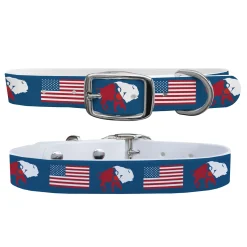 SWYFT PRINTS/C4 C4 Equine Print Dog Collar