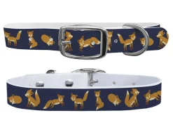 SWYFT PRINTS/C4 C4 Equine Print Dog Collar