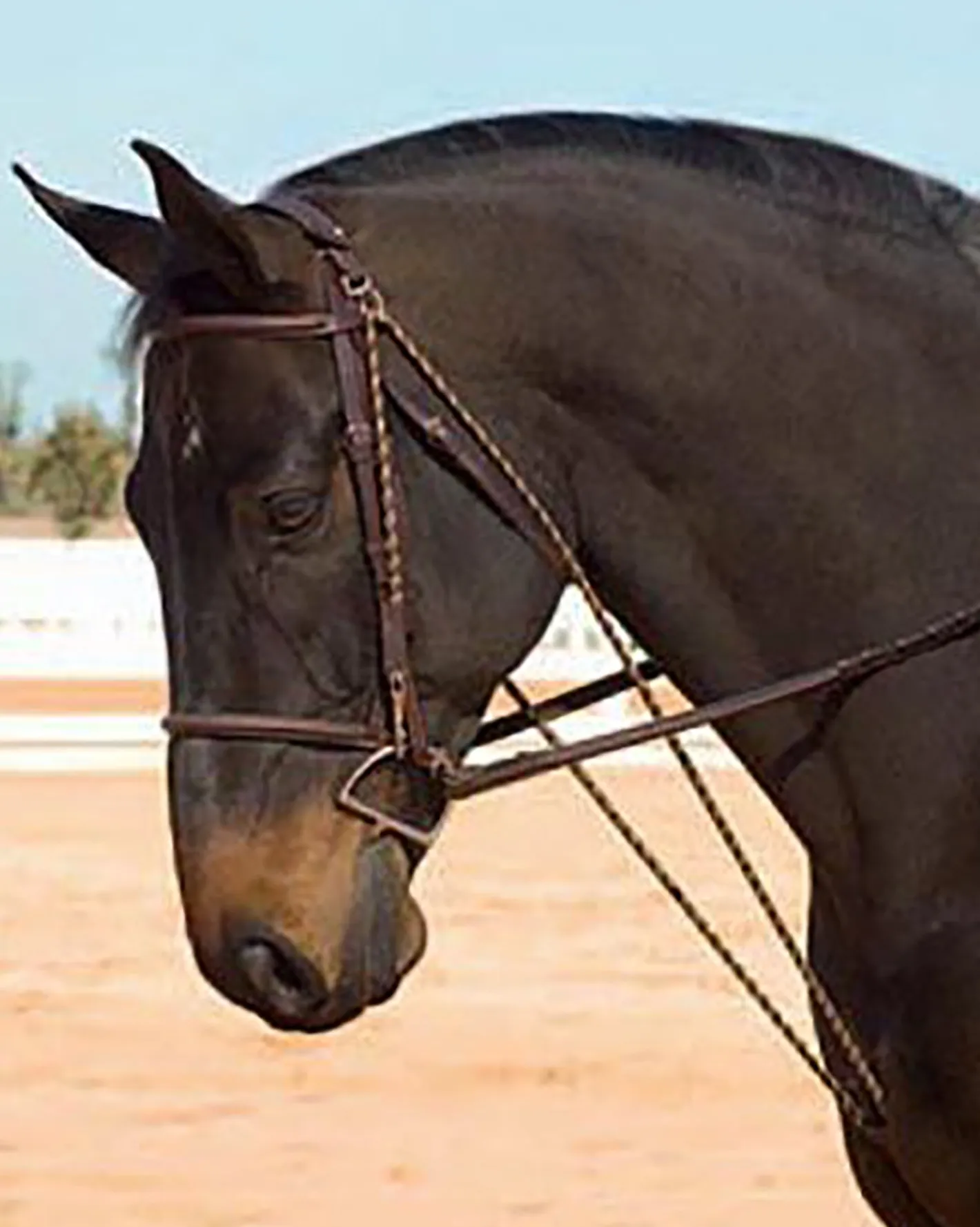 ERS Camelot™ Chambon