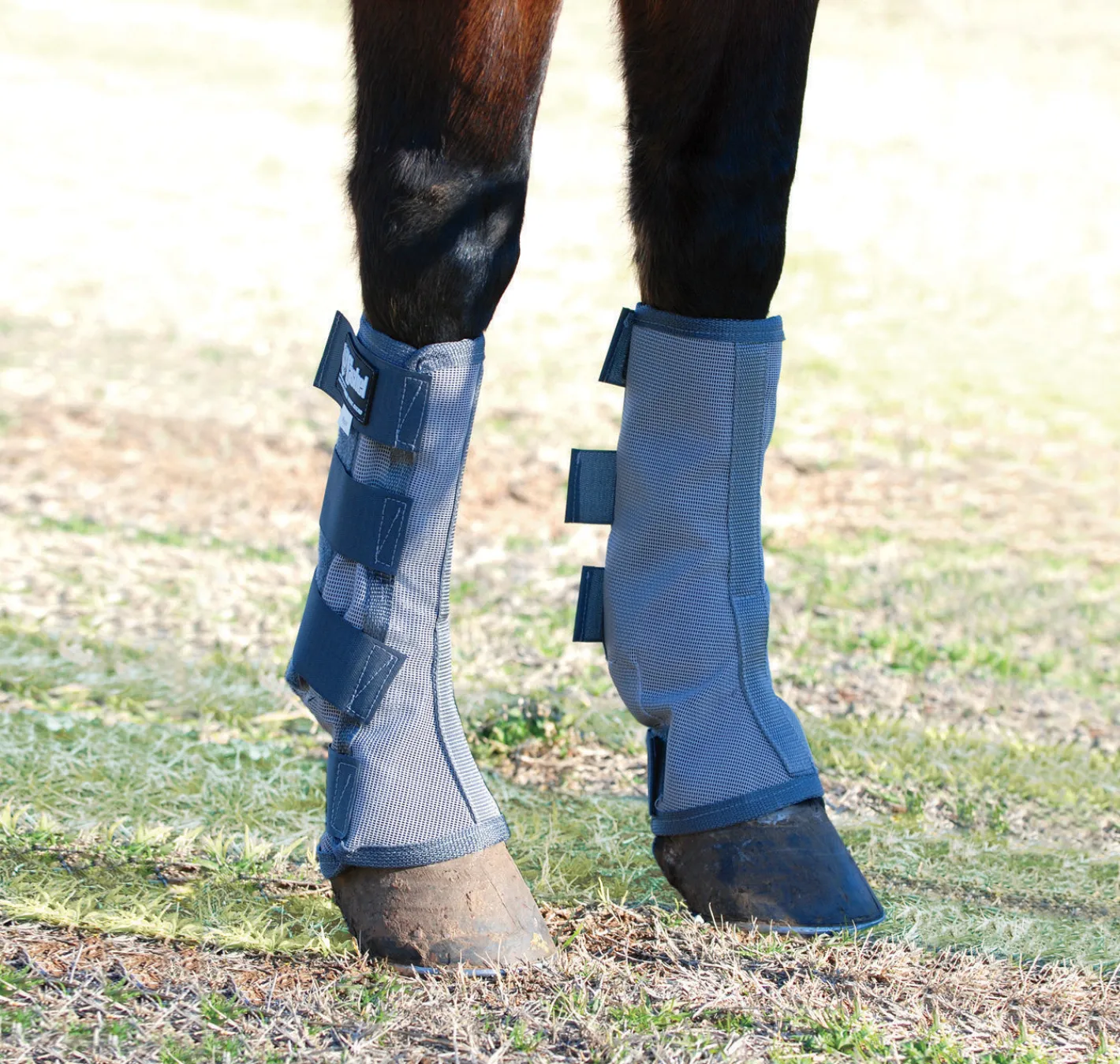 CASHEL COMPANY Cashel® Cool Crusader™ Leg Guards