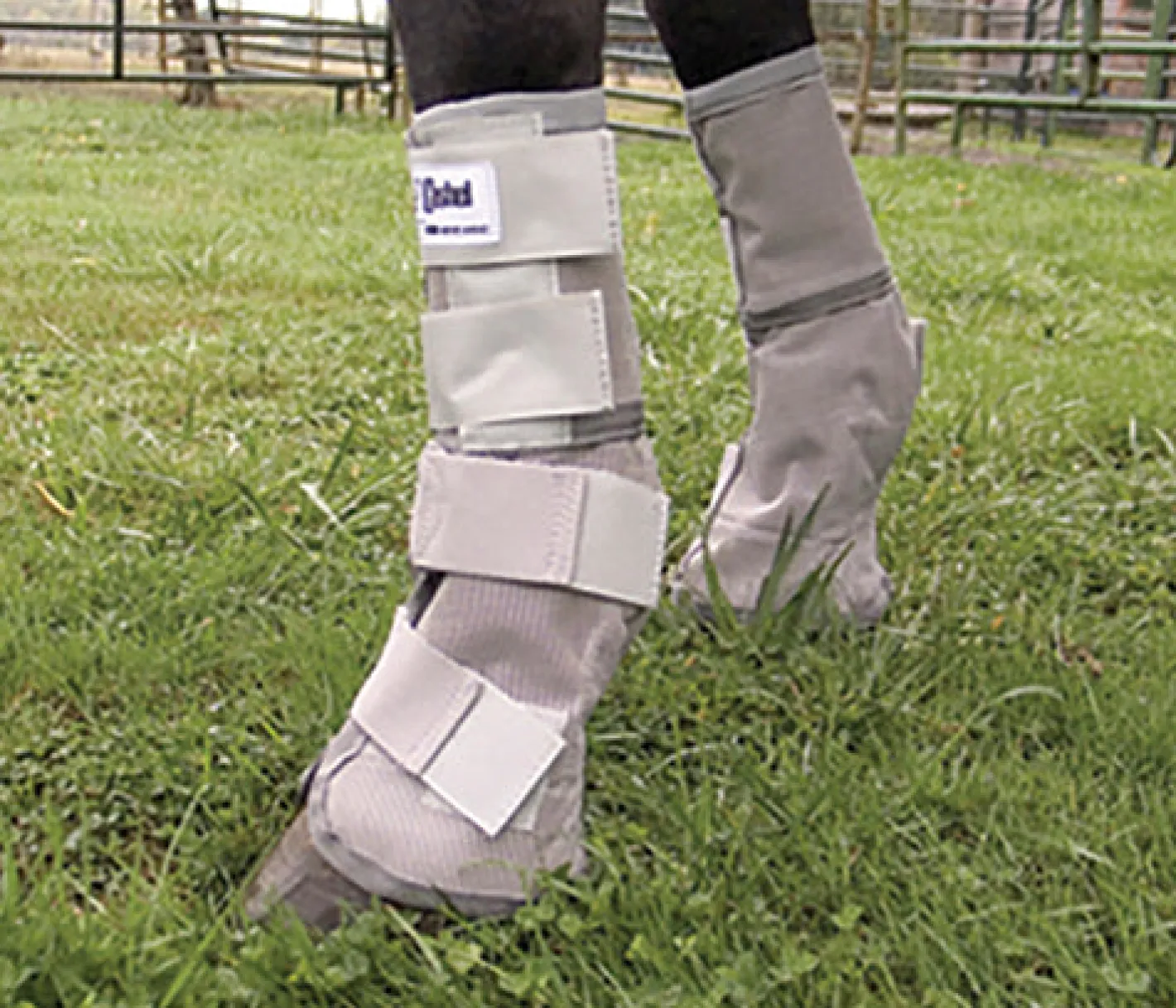 CASHEL COMPANY Cashel® Cool Crusader™ Leg Guards
