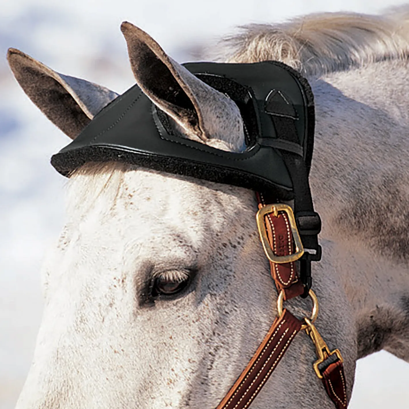 CASHEL COMPANY Cashel® Horse Helmet