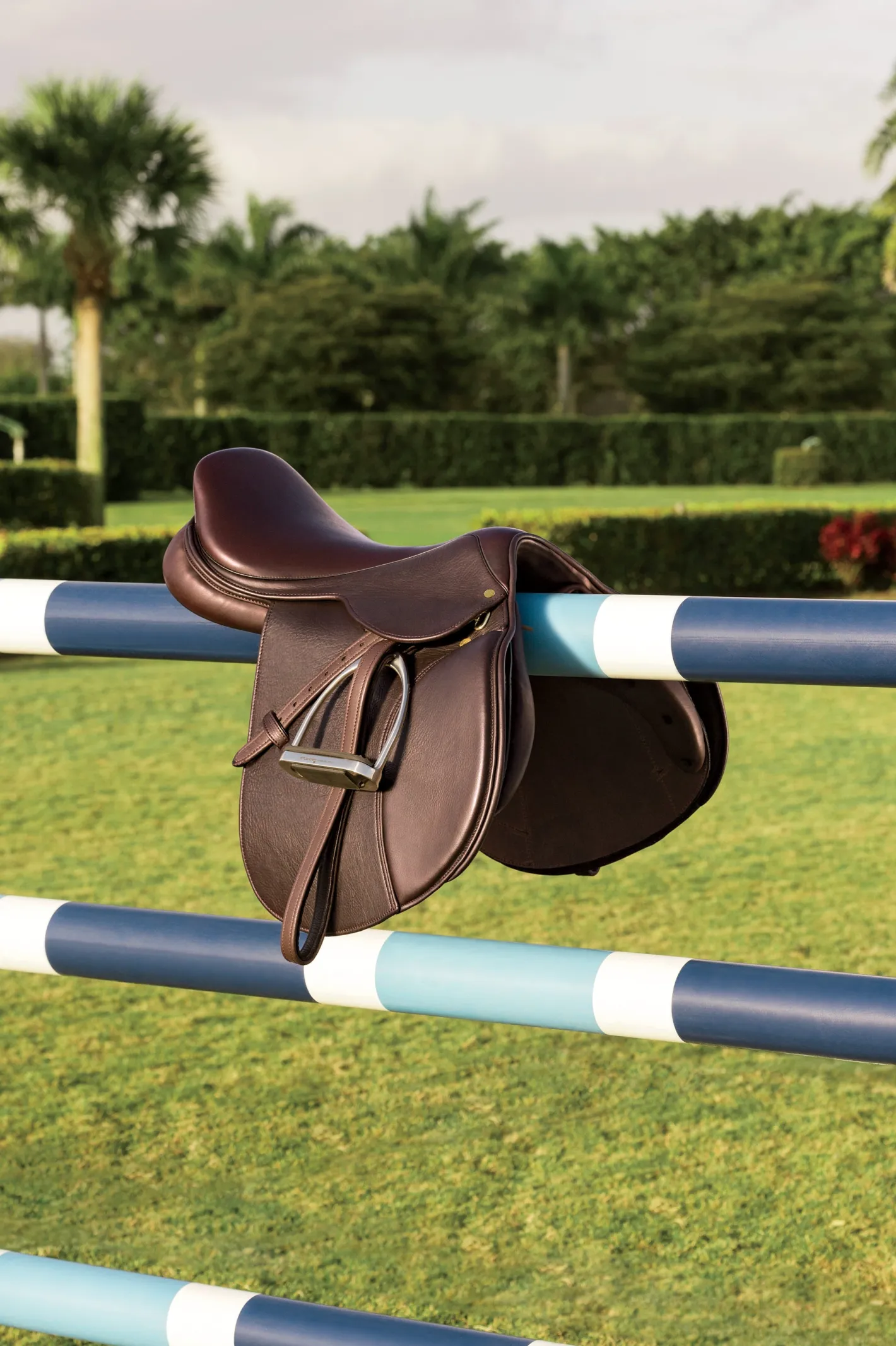JPC INDIA-LTHR TACK Circuit™ Debut Saddle