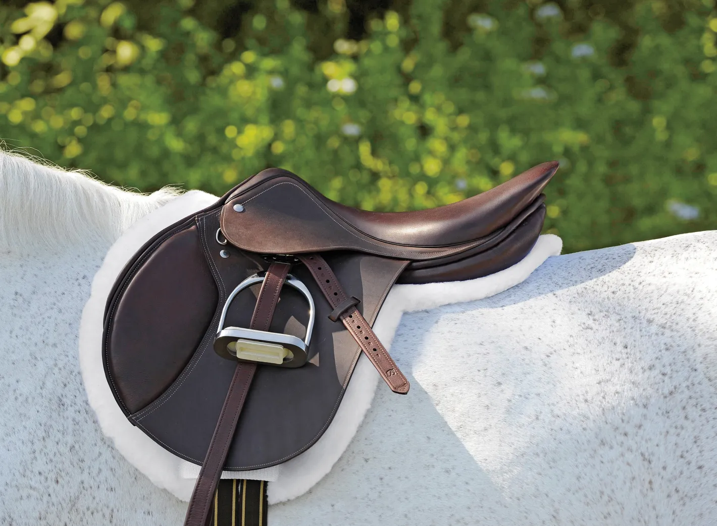 CUEROS SANTA CRUZ Circuit™ Premier Special DS Saddle