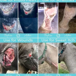 HORSEPOWDER INC Coat Defense® Trouble Spot Drying Paste