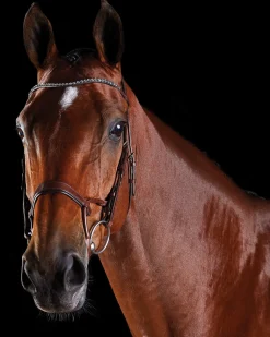 WEATHERBEETA Collegiate® ComFiTec™ Crystal Bridle