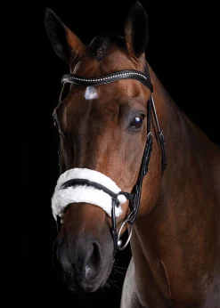 WEATHERBEETA Collegiate® ComFiTec™ Sheepskin Bridle