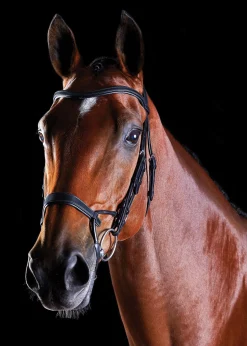 WEATHERBEETA Collegiate® ComFiTec™ Training Bridle