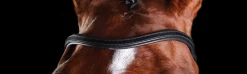 WEATHERBEETA Collegiate® ComFiTec™ Training Bridle