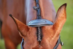 WEATHERBEETA Collegiate® ComFiTec™ Training Bridle