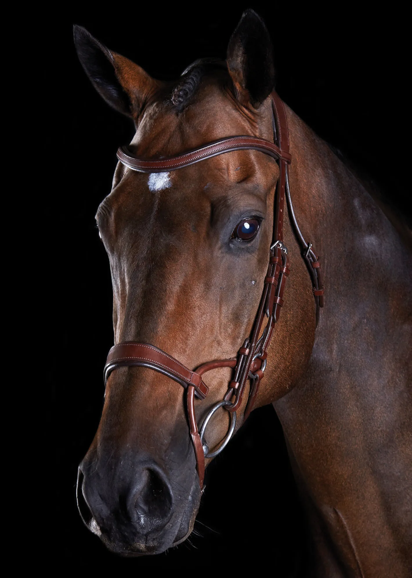 WEATHERBEETA Collegiate® ComFiTec™ Training Bridle