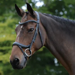 WEATHERBEETA Collegiate® ComFiTec™ Vogue Anatomic Bridle