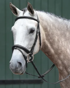 WEATHERBEETA Collegiate® Essential Padded Raised Flash Bridle