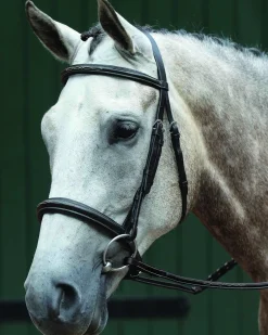 WEATHERBEETA Collegiate® Essential Padded Raised Fancy-Stitched Caveson Bridle