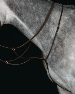 WEATHERBEETA Collegiate® Running Martingale IV